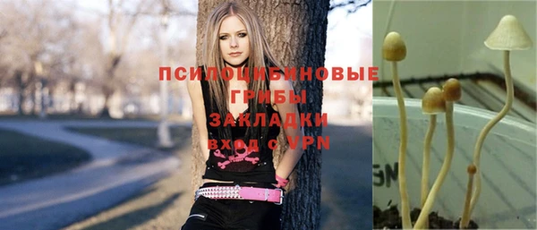 ALPHA-PVP Горнозаводск