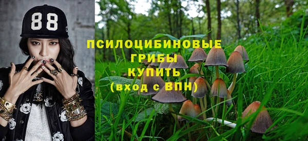 ALPHA-PVP Горнозаводск