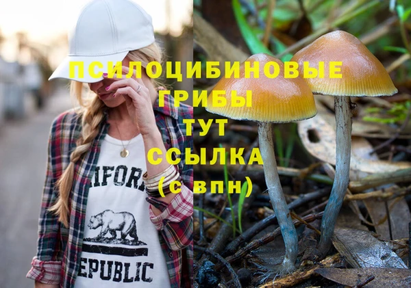 ALPHA-PVP Горнозаводск